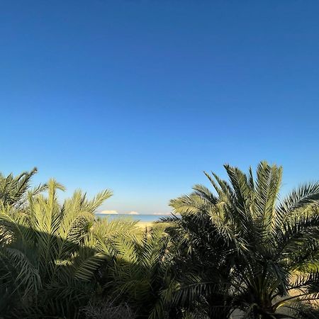 The Nest Hotel Siwa Oasis Eksteriør billede