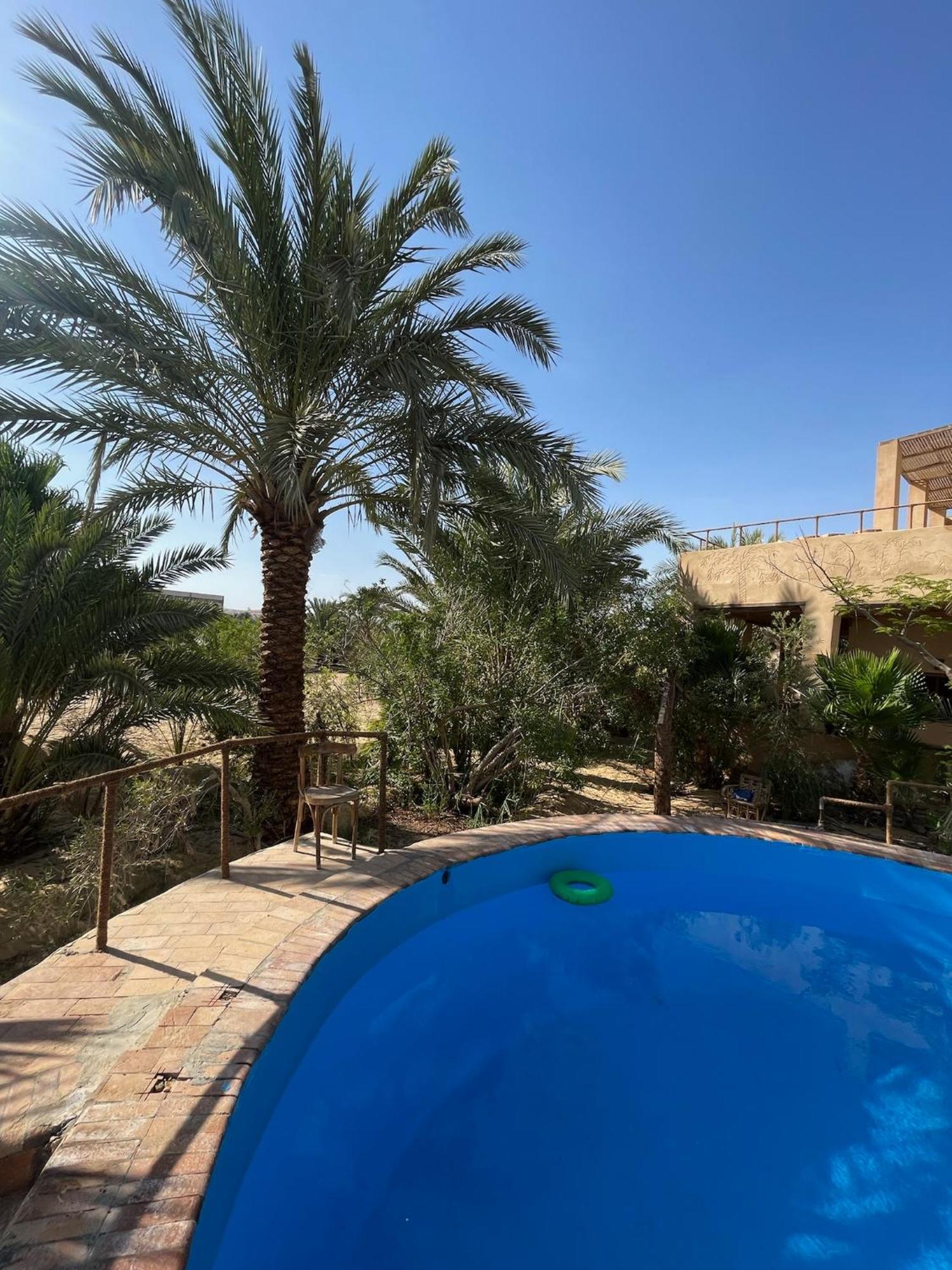 The Nest Hotel Siwa Oasis Eksteriør billede