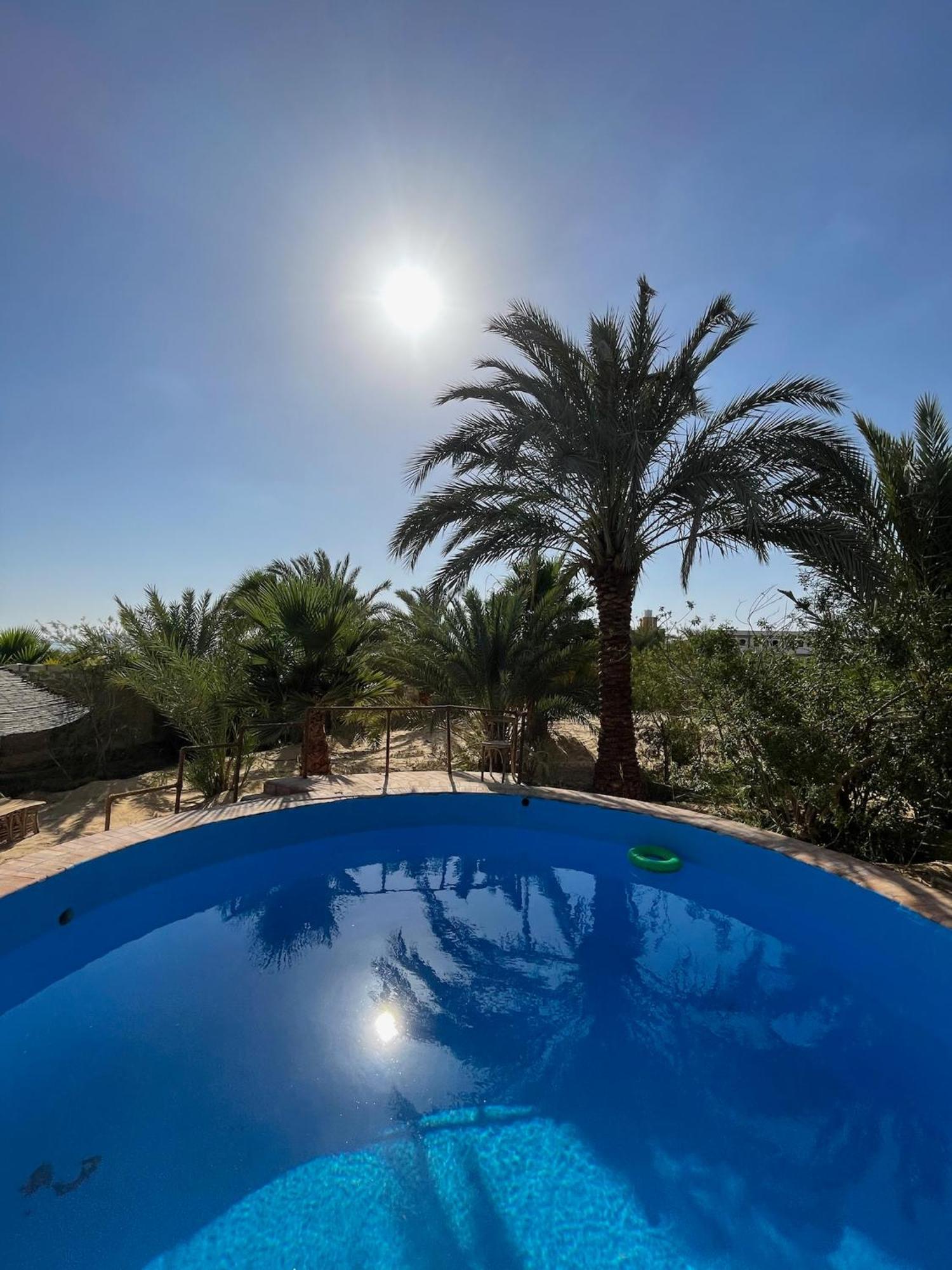 The Nest Hotel Siwa Oasis Eksteriør billede